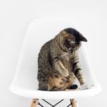 sarah-dorweiler-128578-unsplash